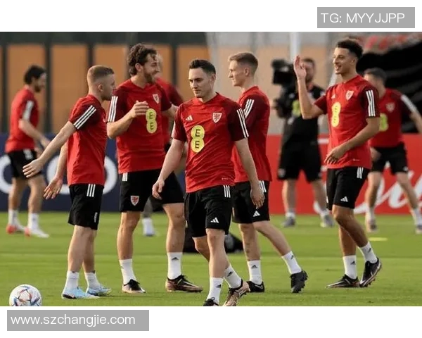 荷兰与土耳其友谊赛精彩对决展现足球魅力与团队精神