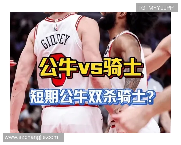 2009年NBA季后赛骑士与公牛的激烈对决回顾与分析
