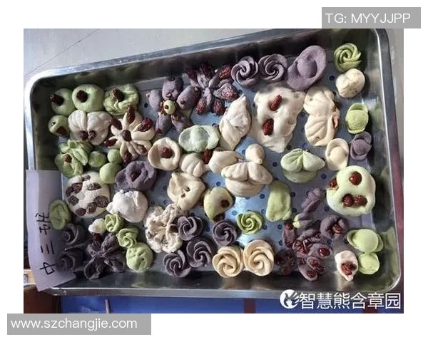 2018至2019赛季火箭队与国王队精彩对决回顾与分析