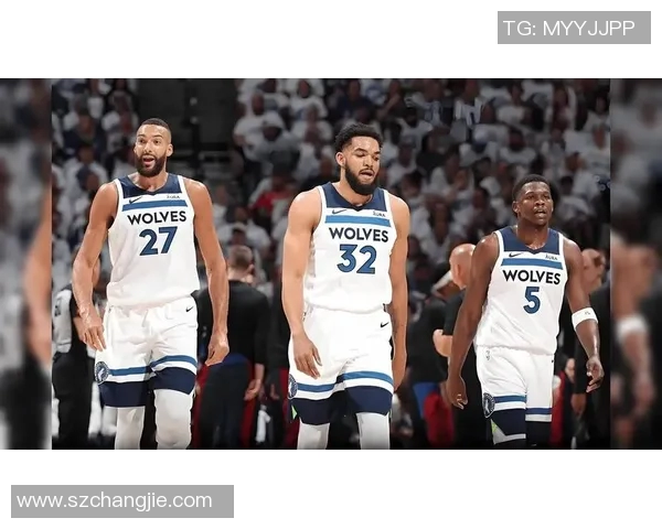 森林狼与公牛精彩对决录像回放分析及赛后点评