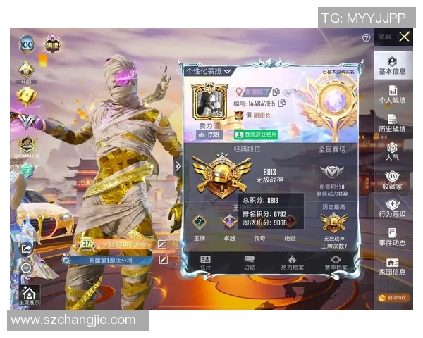 和平精英巨献：深入了解LNG技术背后的秘密与应用探索MBA