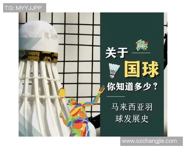 羽毛球传奇刘强的奋斗与荣耀之路对话分享