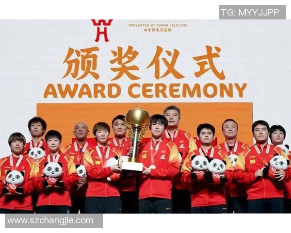 成都乒乓球队个人能力深度解析与发展潜力探讨