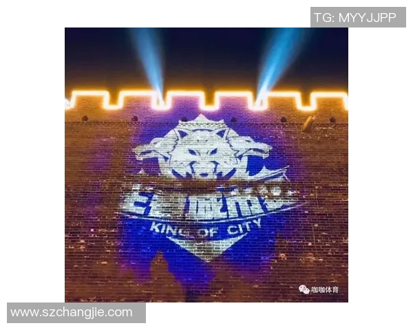 西安网球队在城市联赛积分榜上以80分稳居第一名展现强劲实力